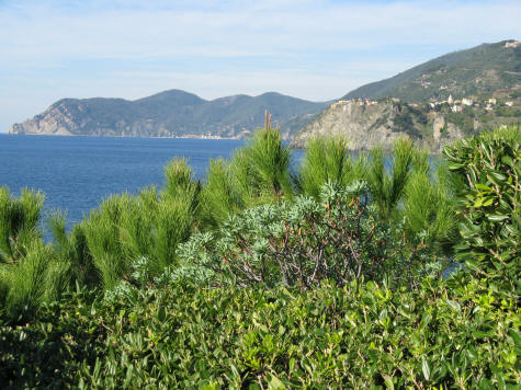 Ligurian Sea