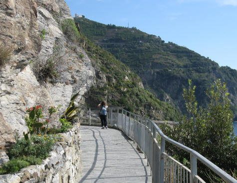 Cinque Terre Hiking Trail near Riomaggiore Italy
